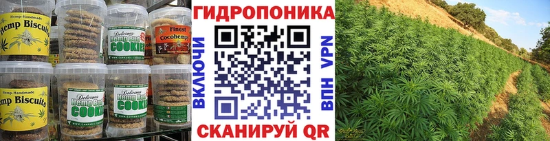 хочу наркоту  Тайшет  Cannafood конопля 